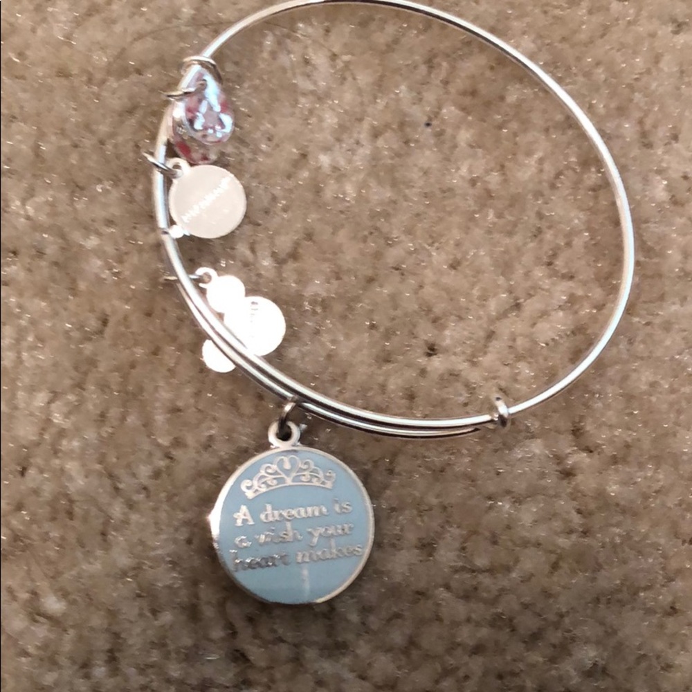 Disney silver Alex and ani
